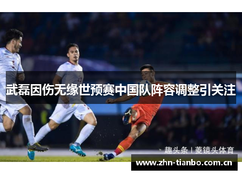 武磊因伤无缘世预赛中国队阵容调整引关注