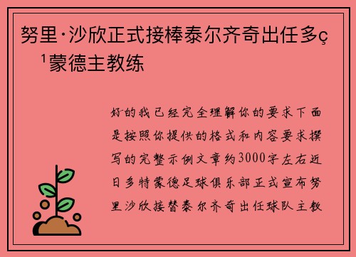 努里·沙欣正式接棒泰尔齐奇出任多特蒙德主教练